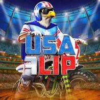 USA Flip icon